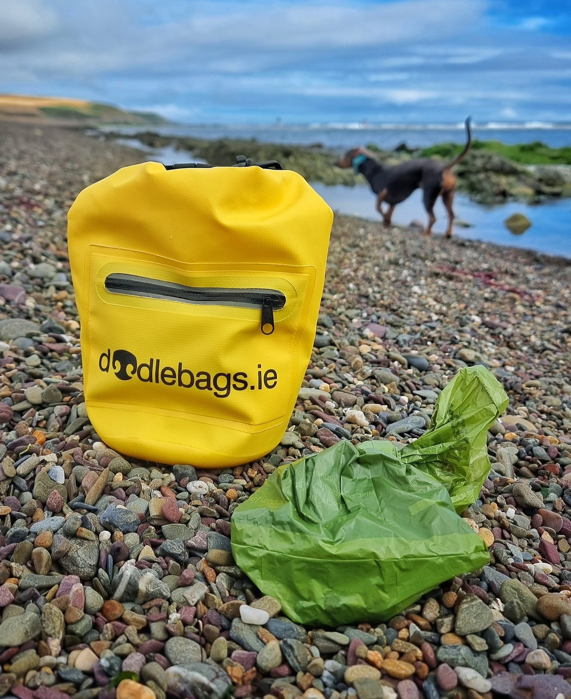 Yellow doodlebag on stoney beach with poop bag, and dog in the background